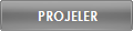  PROJELER